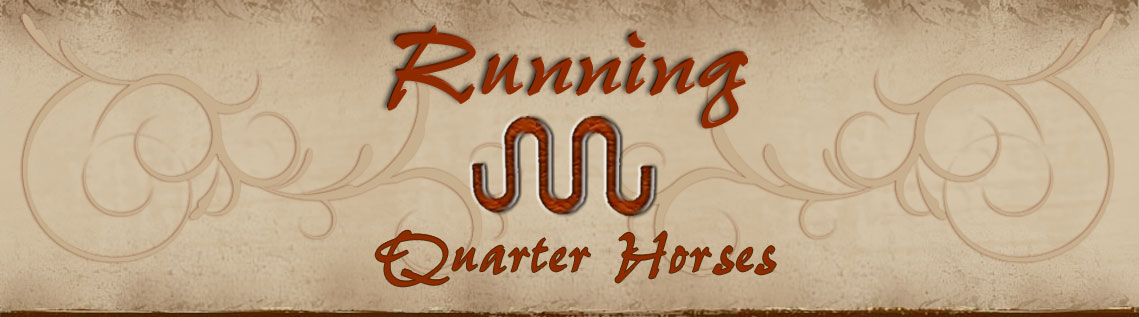 Running M Ranch